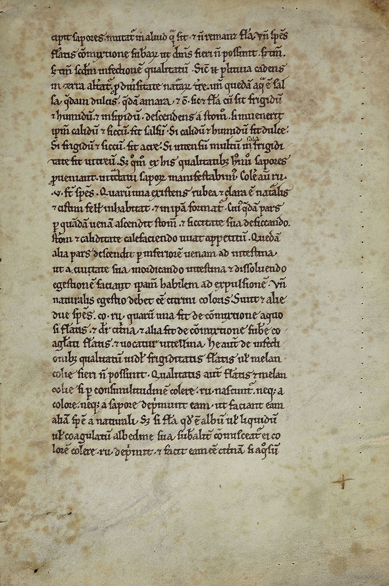Exponat 3