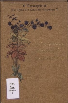 Foto eines beige-braunen Buchumschlags mit Mauerseglern über einer Himbeerranke und dem goldgravierten Titel: Dr. Aug. Wildenhahn, Erzgebirgische Dorfgeschichten