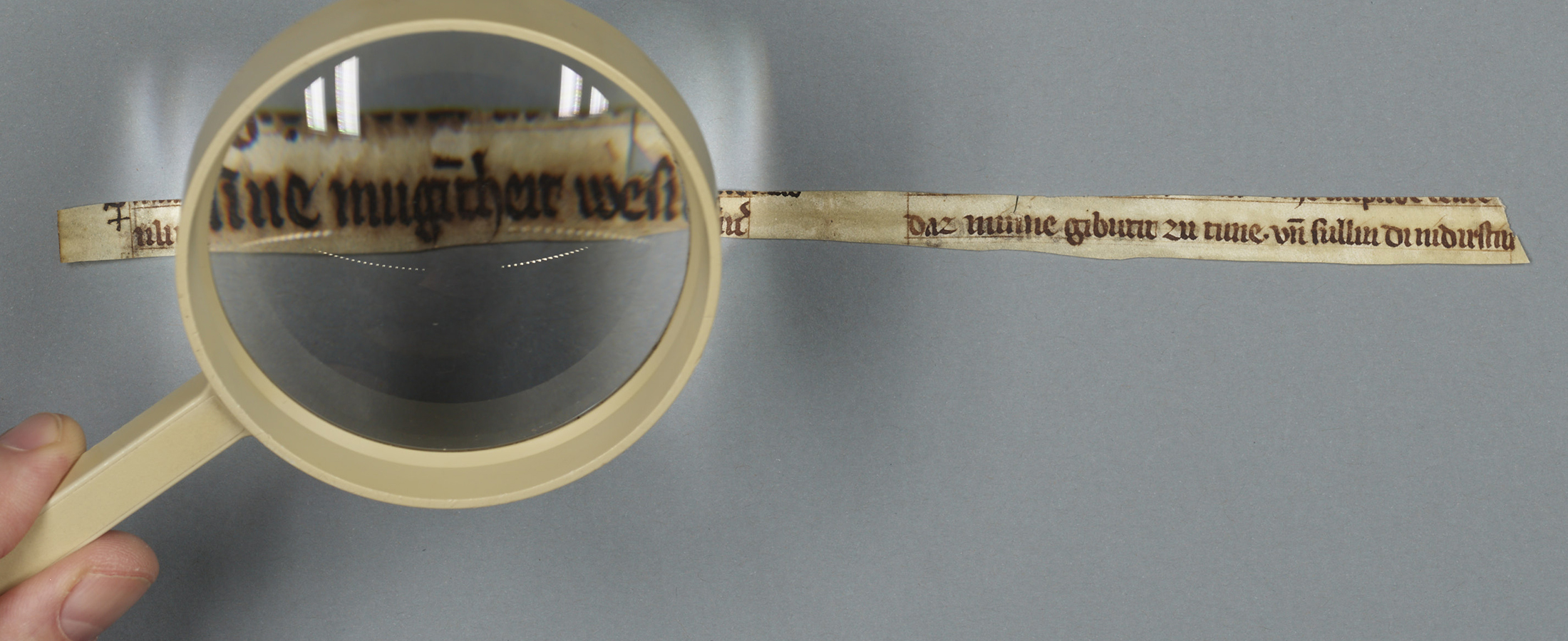 Sensationeller Fund an der Universitätsbibliothek Leipzig: Ältestes Zeugnis von Meister Eckharts Werk entdeckt
