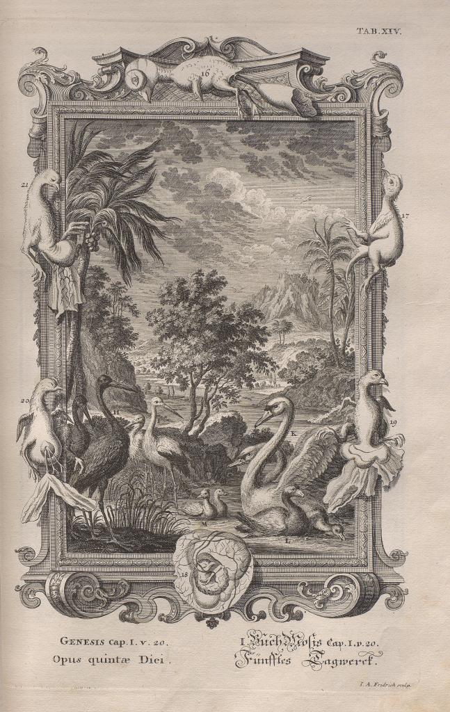 Fig. 4 – Johann Jacob Scheuchzer: Physica sacra [Holy Physics], Volume 1, Augsburg, 1731 [Exeg. App. 145:1, Table 14] 