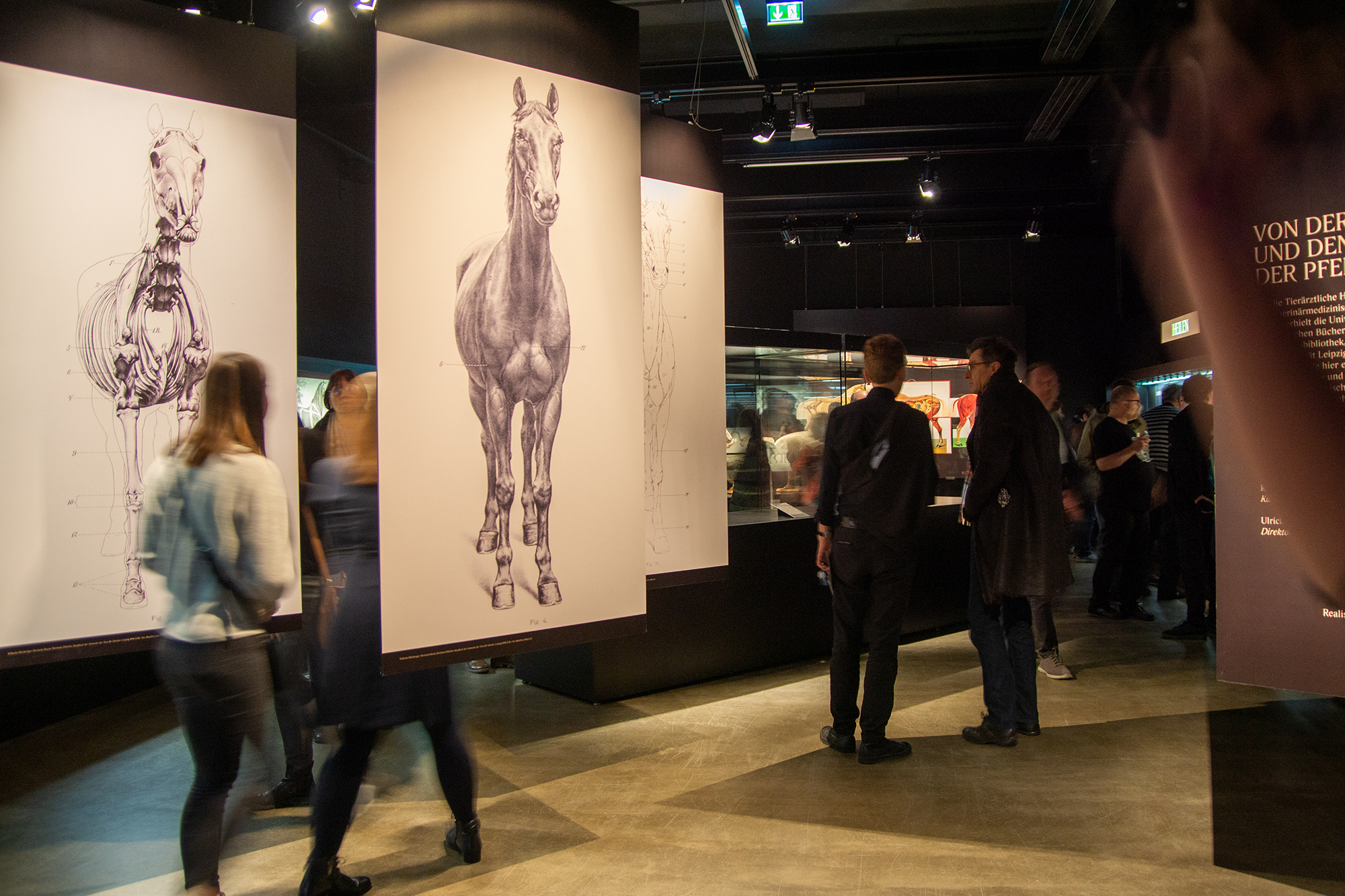 Blick in den Ausstellungsraum während der Ausstellungseröffnung