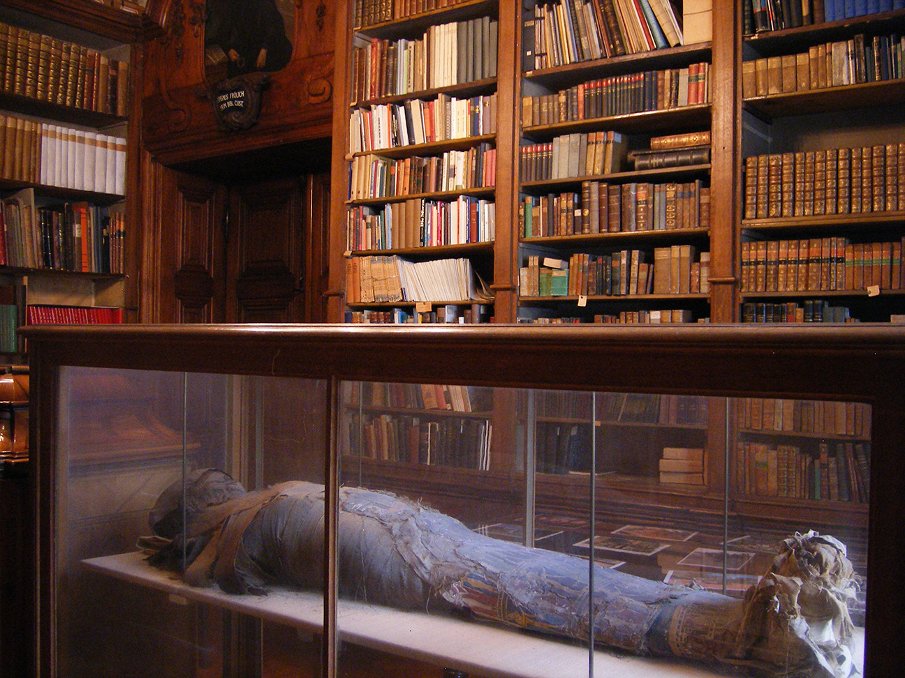 Theresianum, Wien. Foto: Eric Steinhauer