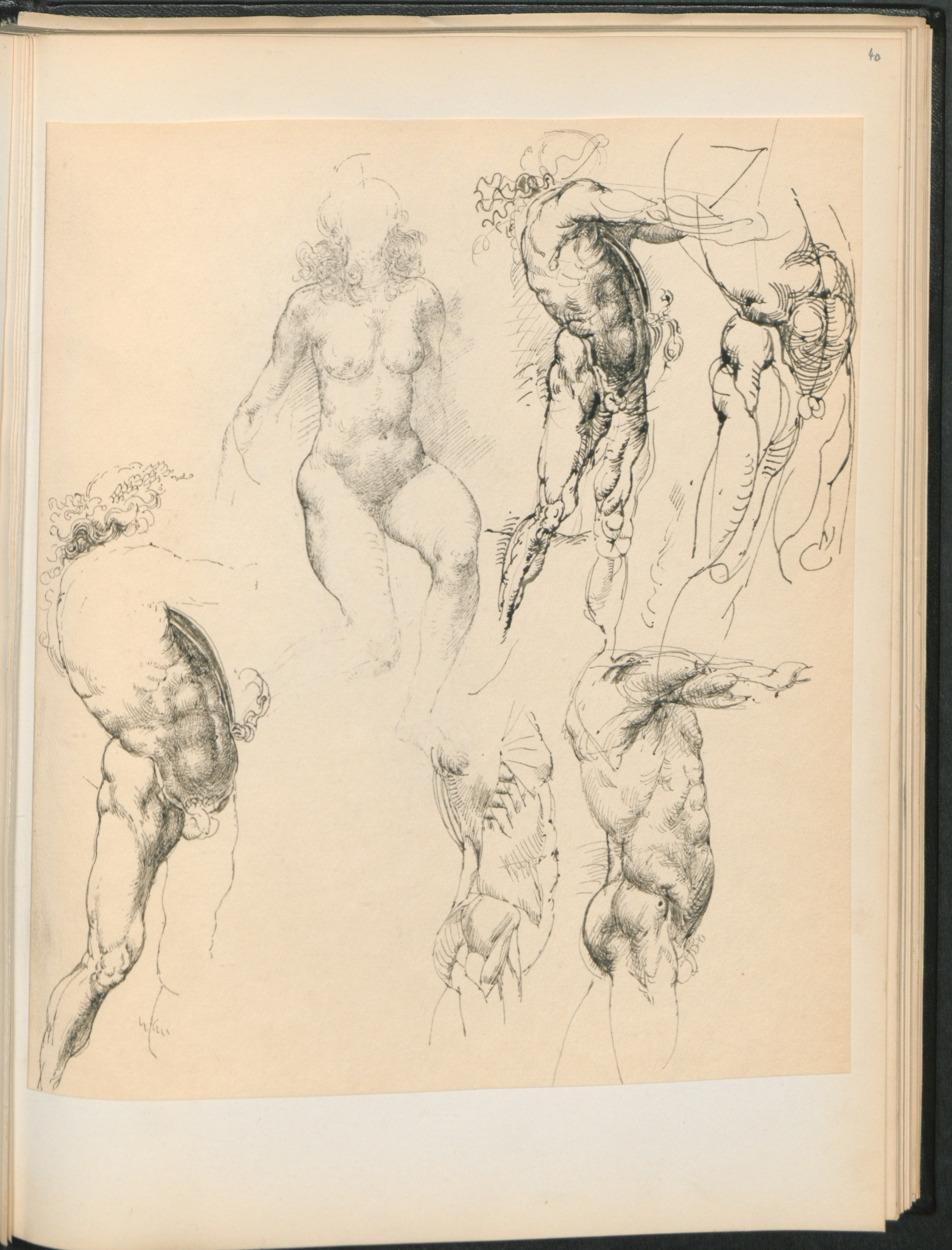 Zeichnung: Fünf anatomische Studien und ein weiblicher Akt, Bleistift und Feder von Werner Tübke