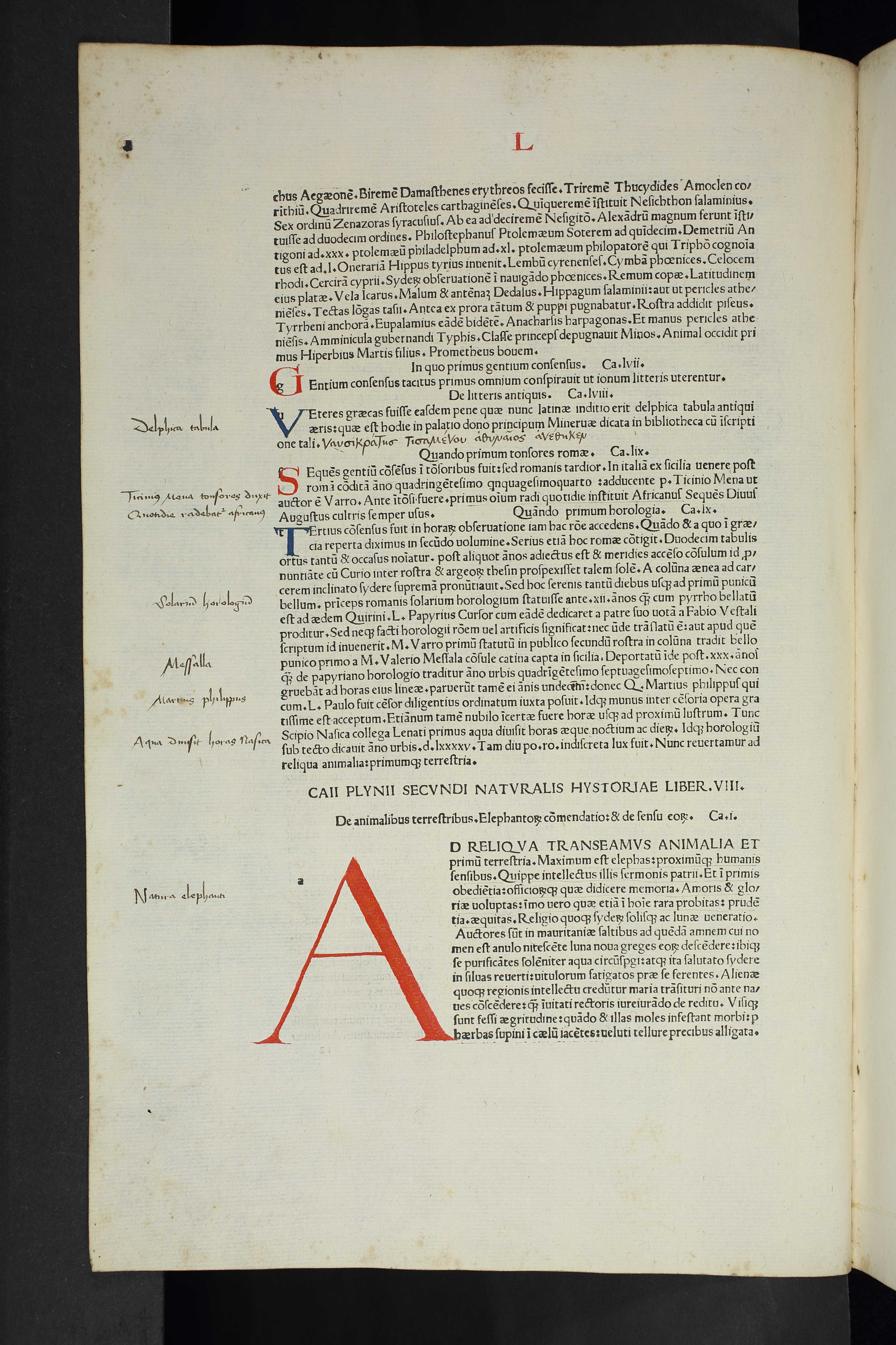 Vollständig überlieferte Enzyklopädie aus dem ersten Jahrhundert, Plinius Historia naturalis, Parma: Andrea Portilia
