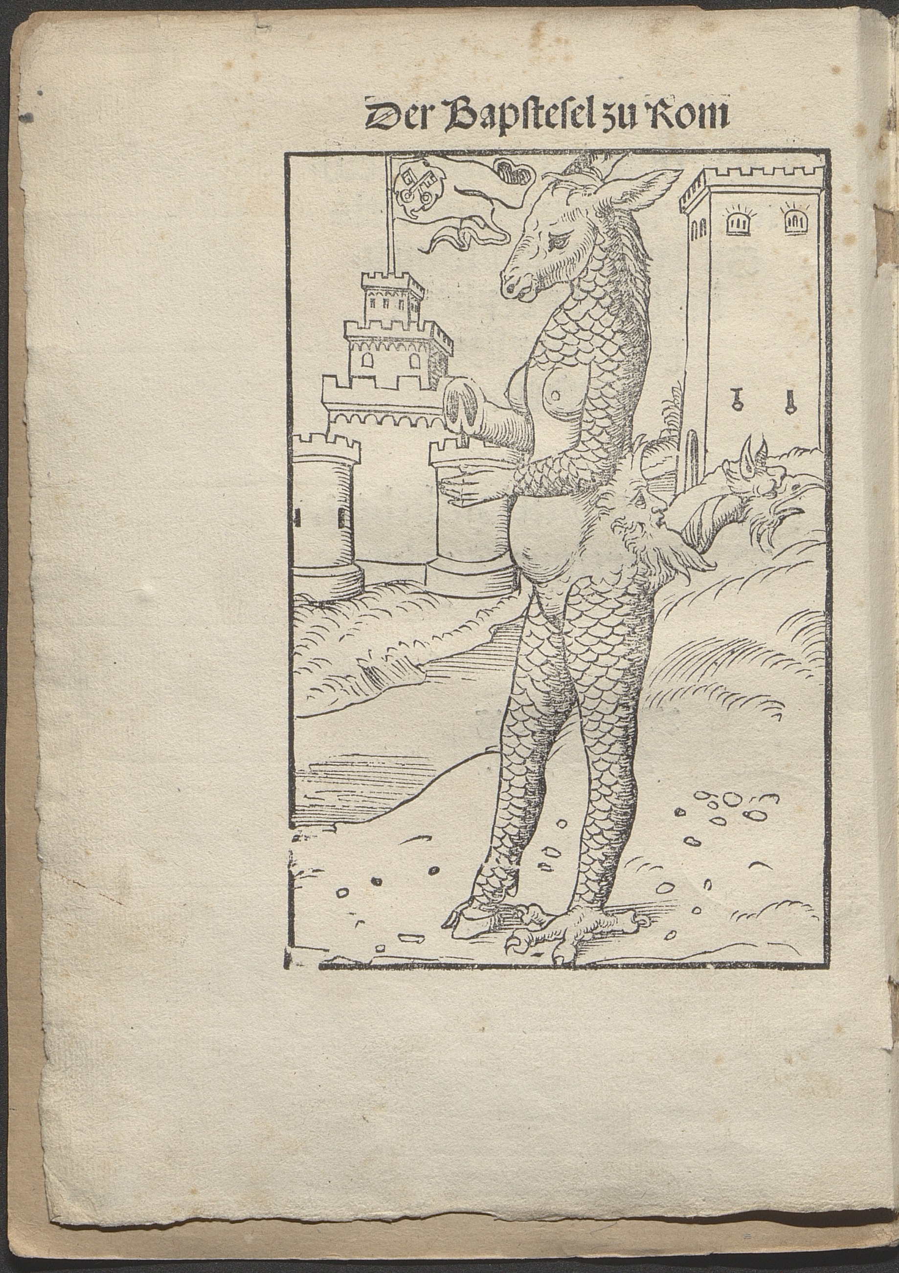 Illustration Papstesel und Mönchskalb