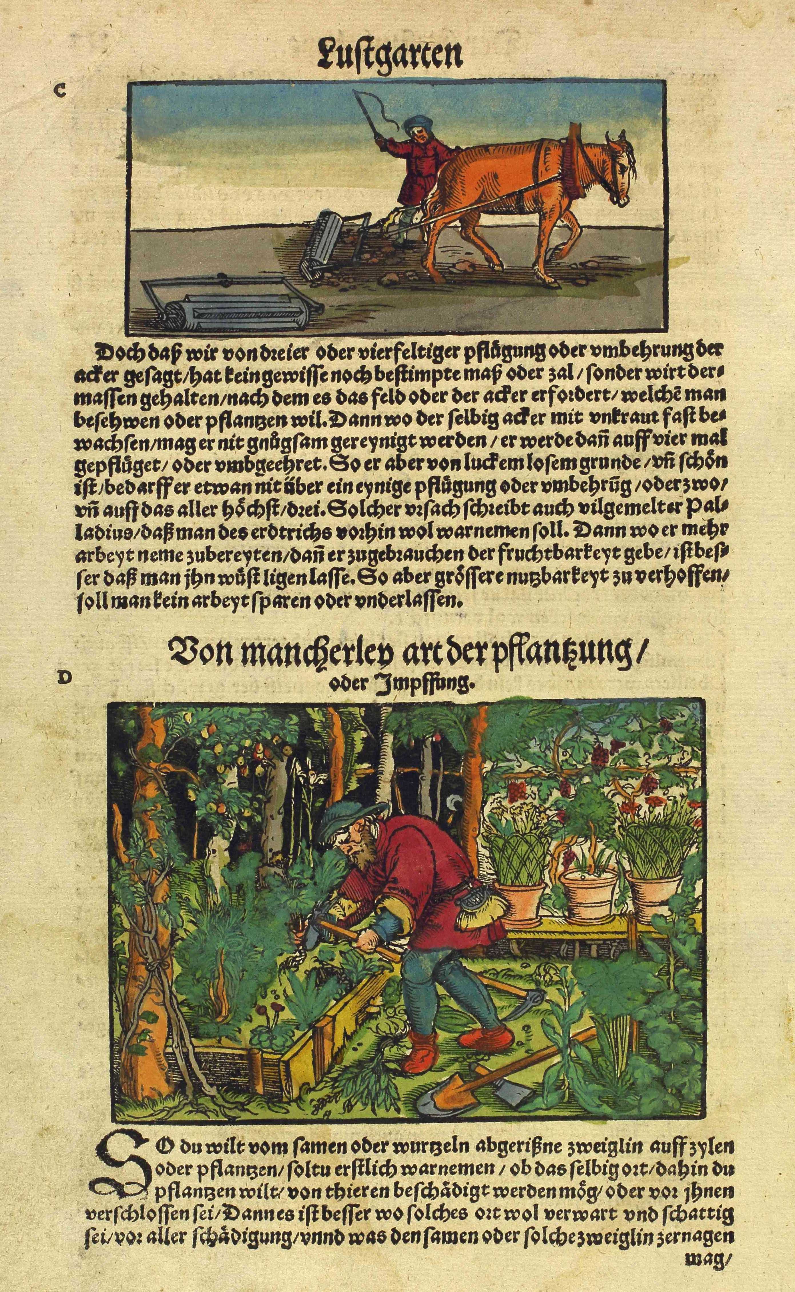 Illustration über die Landwirtschaft