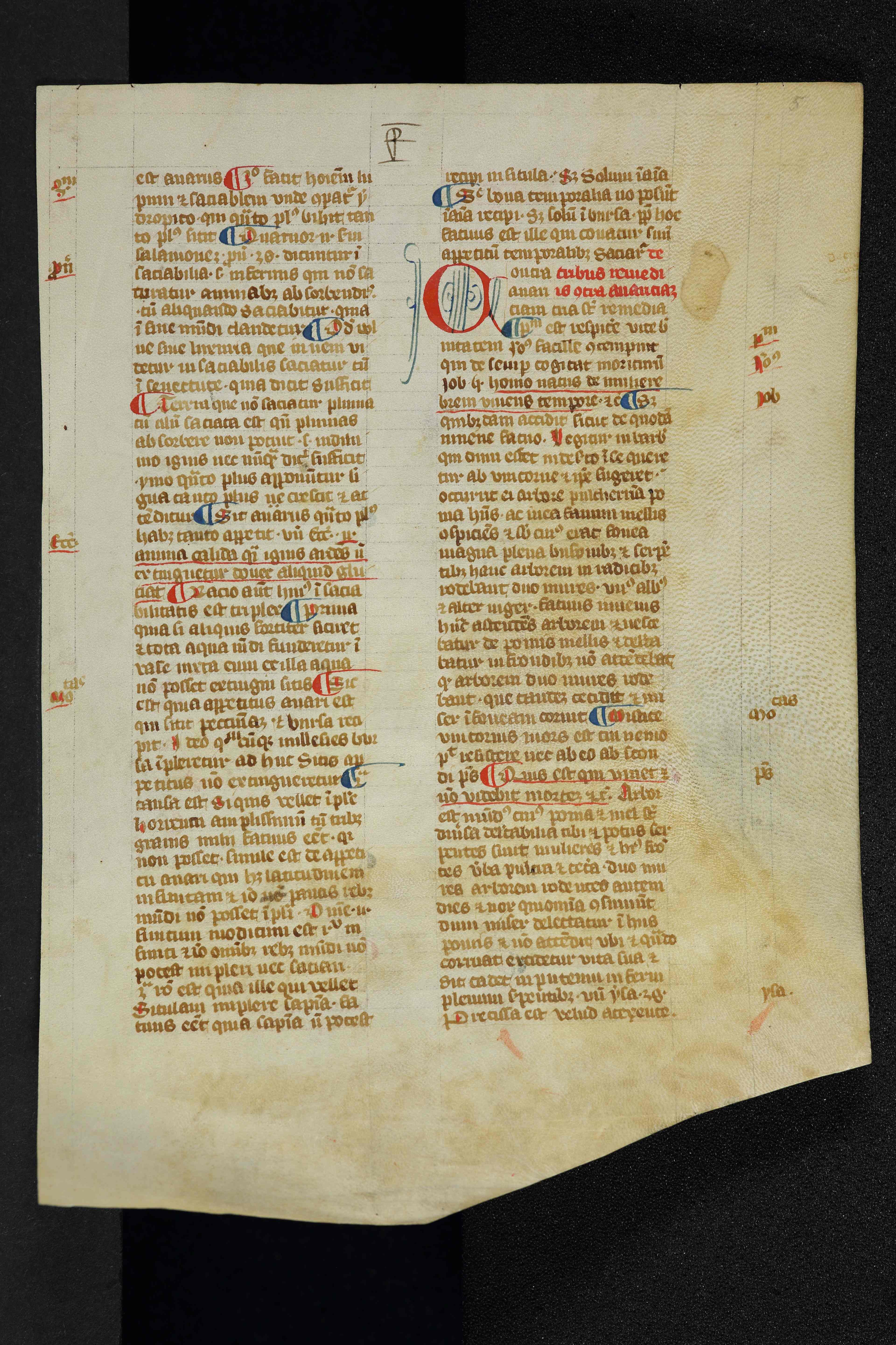 eine Seite aus einer Handschrift aus dem 14. Jahrhundert