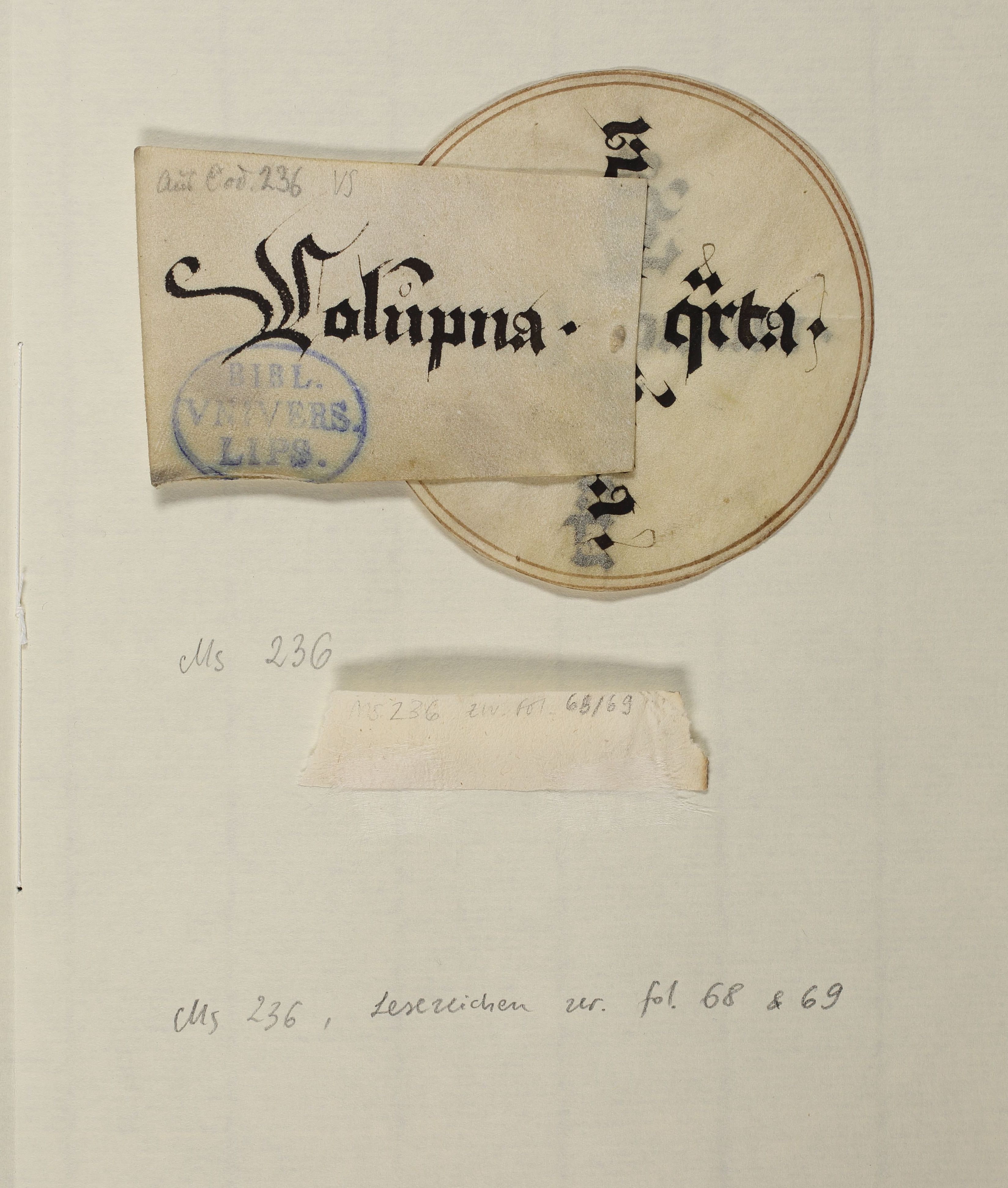 ein mittelalterliches Lesezeichen