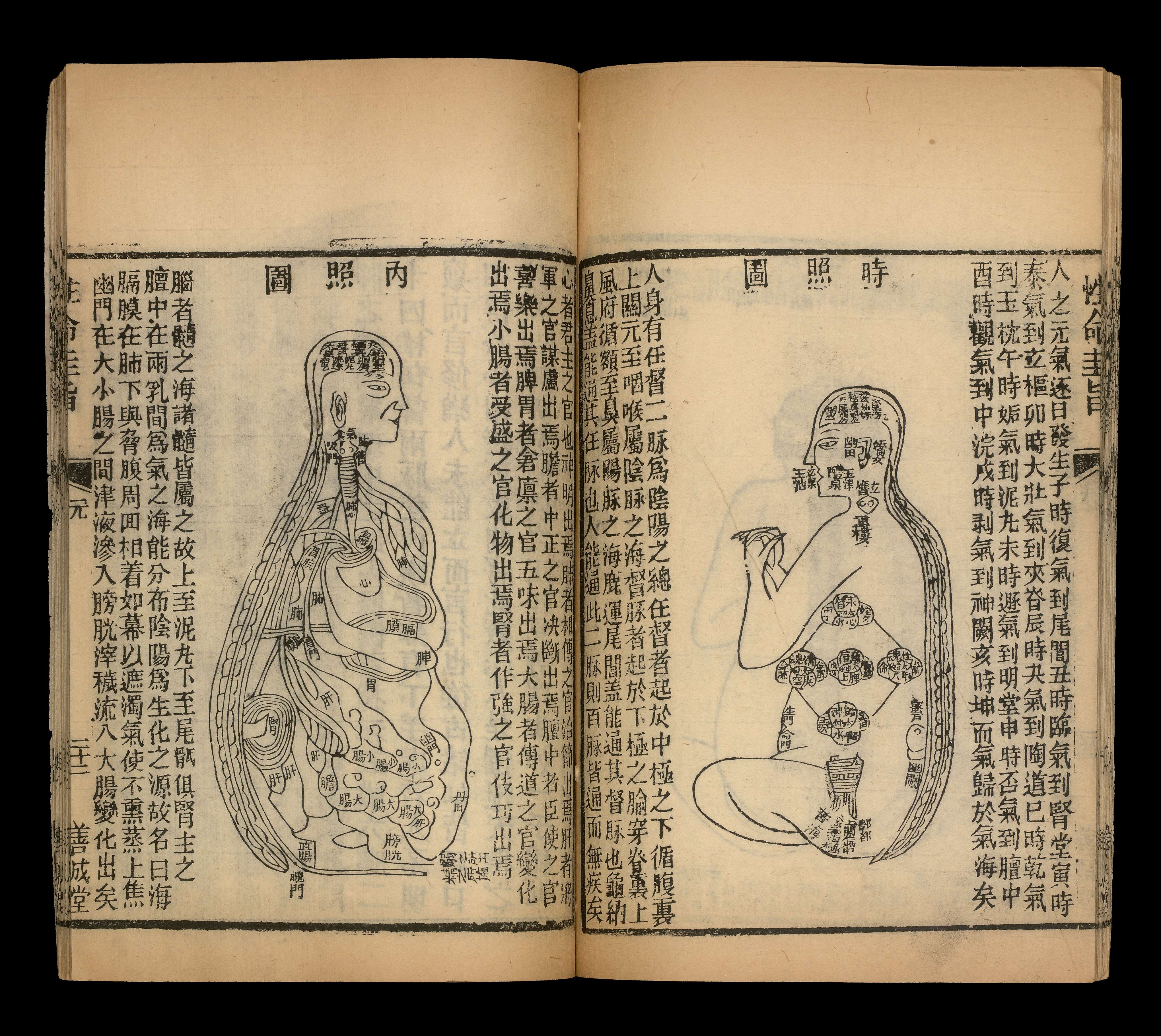 chinesische Schriftzeichen und Illustration zweier Körper mit Innenansichten