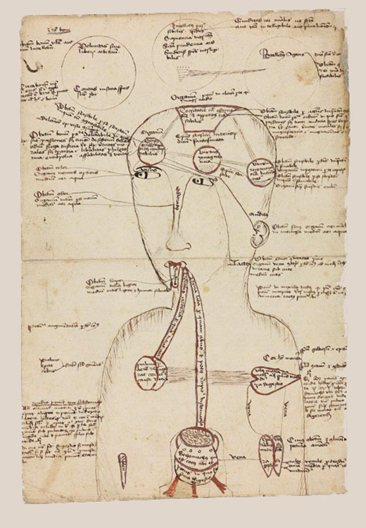 Fragm. lat. 242