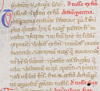 Leipzig, UB, Fragm. lat. 153 (Vorderseite, Ausschnitt) – 2. Drittel 13. Jh.